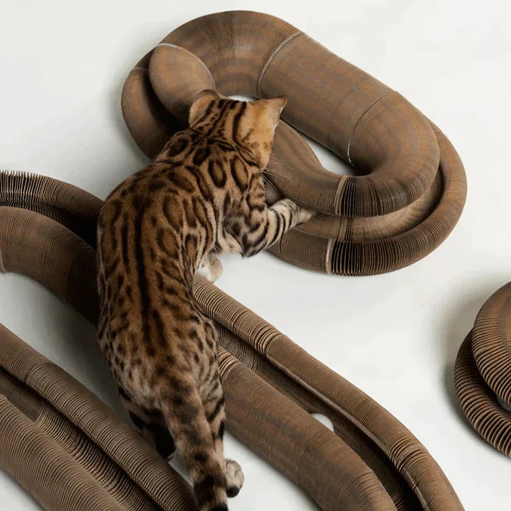 Nzmarket Cat Scratcher & Interactive Toy – Sisal, Non-Slip Base