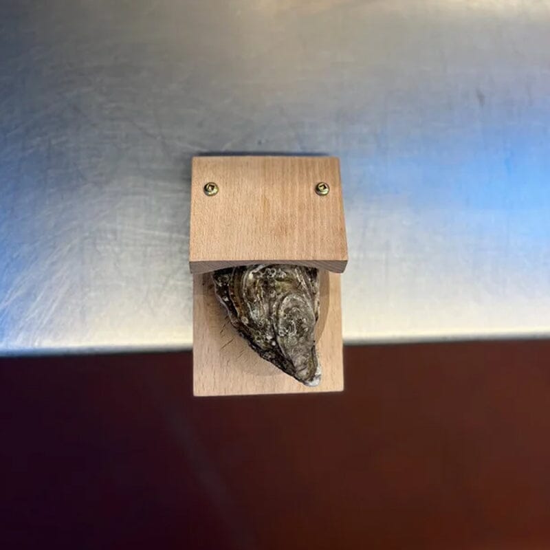 Oyster Opening Clamp