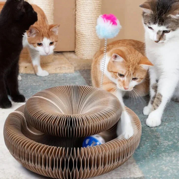 Nzmarket Cat Scratcher & Interactive Toy – Sisal, Non-Slip Base