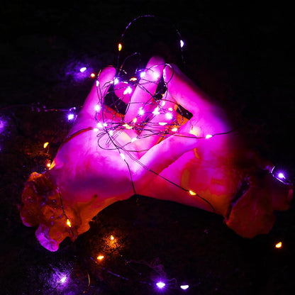 Nzmarket Solar-Powered Red Outdoor Fairy Lights – Auto Dusk to Dawn