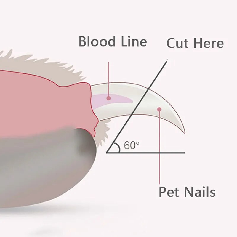 Nzmarket Precision Dog Nail Clippers