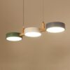 Nzmarket Modern Metal Sphere Pendant Ceiling Light