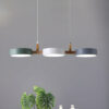 Nzmarket Modern Metal Sphere Pendant Ceiling Light