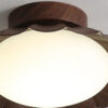 Nzmarket Vintage Acrylic Flush Mount Ceiling Light – 3-Colour Switch