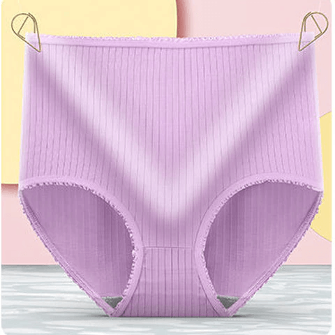 Nzmarket Leak-Proof Women's Briefs – Multi-Layer Absorbent, Sizes M–2XL
