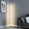 Nzmarket Slim LED Corner Floor Lamp – Adjustable Brightness, Warm White
