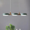 Nzmarket Modern Metal Sphere Pendant Ceiling Light