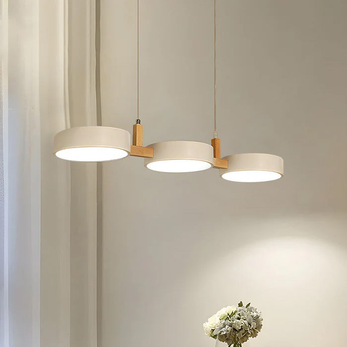 Nzmarket Modern Metal Sphere Pendant Ceiling Light