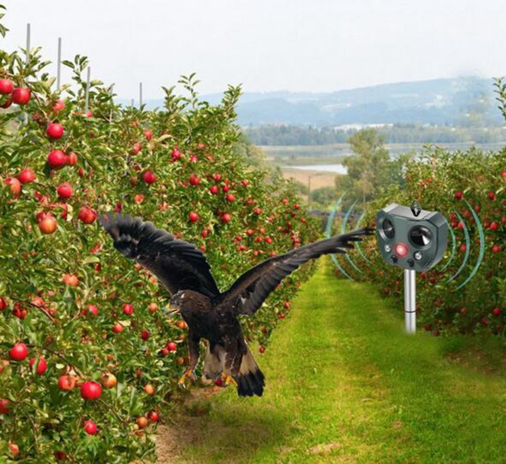 Nzmarket Solar-Powered Ultrasonic Bird & Pest Repeller