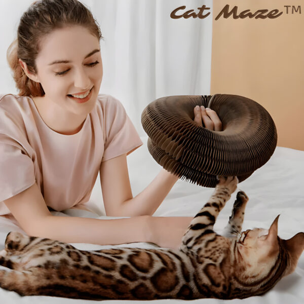 Nzmarket Cat Scratcher & Interactive Toy – Sisal, Non-Slip Base