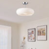 Nzmarket Vintage Round Frosted Glass Ceiling Light Fixture – Brass & Chrome
