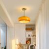 Nzmarket Vintage Round Frosted Glass Ceiling Light Fixture – Brass & Chrome