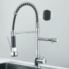 SpringFlow Kitchen Faucet With Double Outlet