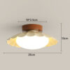 Nzmarket Vintage Acrylic Flush Mount Ceiling Light – 3-Colour Switch