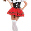 Shiela - Traditional Oktoberfest Dirndl Dress