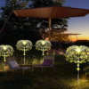 Nzmarket Solar Firework Burst Garden Lights – Warm White & Multicolour