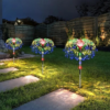 Nzmarket Solar Firework Burst Garden Lights – Warm White & Multicolour