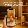 Tech Mini Wireless Hidden Camera and Audio - Tiny Surveillance