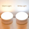 Nzmarket Indoor LED Motion Sensor Night Light – Auto On/Off, Soft Glow